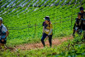 BIB: 
                            <button type="button" onclick="openModal(19164685)" class="btn btn-primary btn-sm float-right btn-popup" data-toggle="modal" data-target=".modal-high-quality">
                        <i class="fas fa-shopping-cart"></i> Add to Cart
                    </button>
                                            <button type="button" onclick="isThisMe(19164685, true)" class="btn btn-success btn-sm float-right btn-popup btn-isme hidden" data-toggle="tooltip" data-placement="bottom" title="นี่คือรูปของคุณใช่ไหม คลิกที่นี่เพื่อเอาเข้าอัลบั้ม">
                        <i class="fas fa-plus"></i> Add to album
                    </button>
                    <button type="button" onclick="isThisMe(19164685, false)" class="btn btn-warning btn-sm float-right btn-popup btn-isnotme hidden">
                        <i class="fas fa-ban"></i> Remove from album
                    </button>